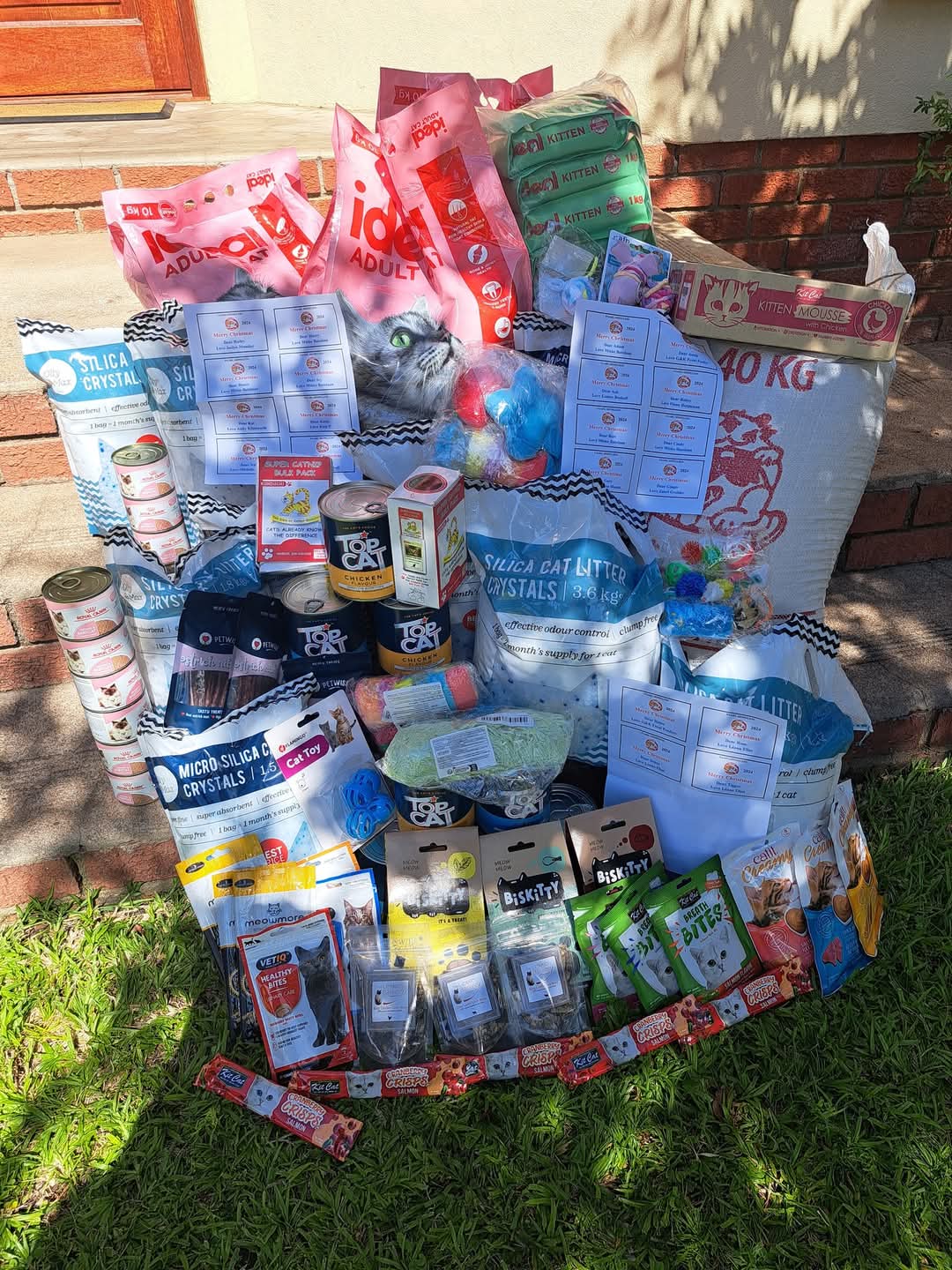 Paarl Homeless